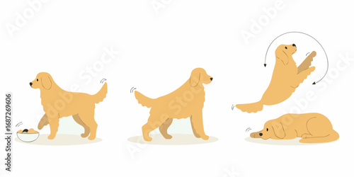 Sequence of a golden retriever dog performing various actions like eating from a bowl jumping and resting