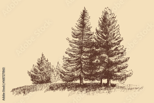 Christmas Tree illustration in a vintage style. This vector illustration can be used in any size you like for advertising, logos, and other work.