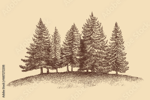 Christmas Tree illustration in a vintage style. This vector illustration can be used in any size you like for advertising, logos, and other work.