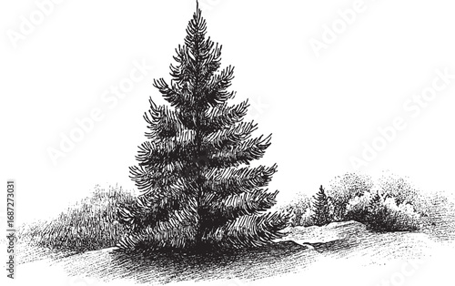 Christmas Tree illustration on a white background. This vector illustration can be used in any size you like for advertising, logos, and other work.