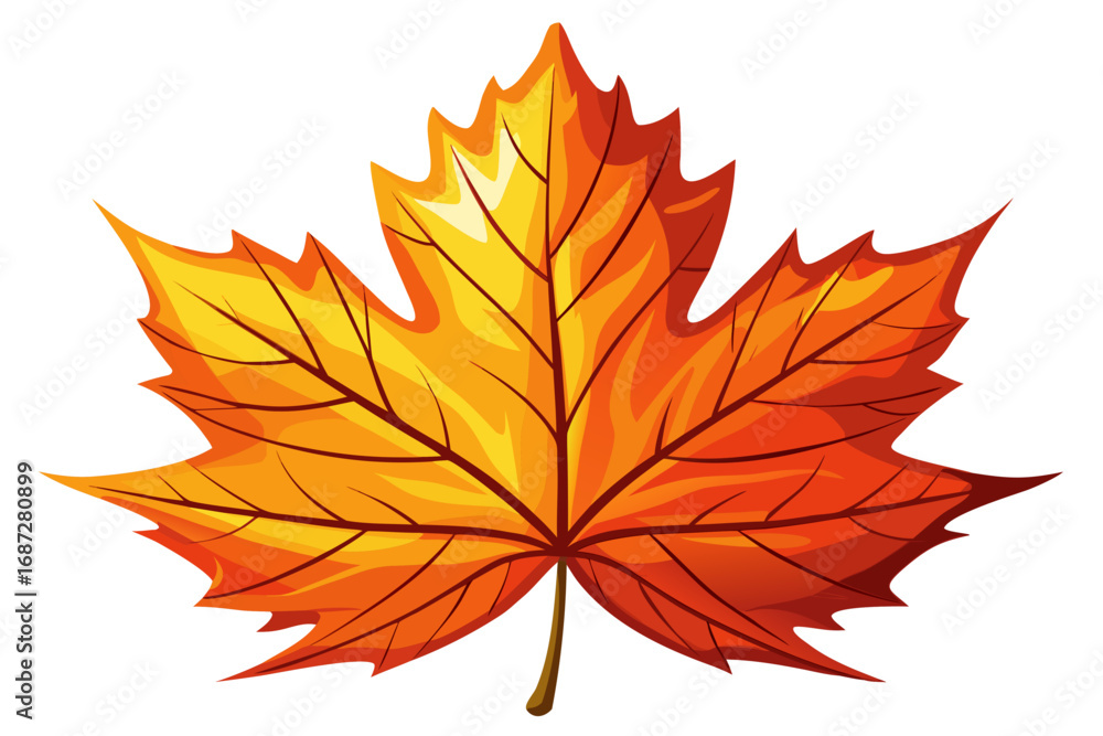 Fototapeta premium autumn maple leaf