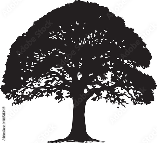 Majestic silhouette of a large mature tree with detailed branches and leaves