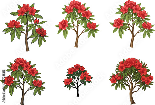 Set of six red flowering trees and shrubs with green leaves, seasonal botanical vector illustration for spring and summer landscape design