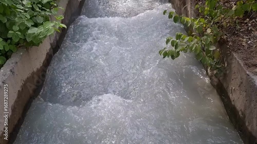 A fast flow of water from a mountain river through a concrete channel among trees