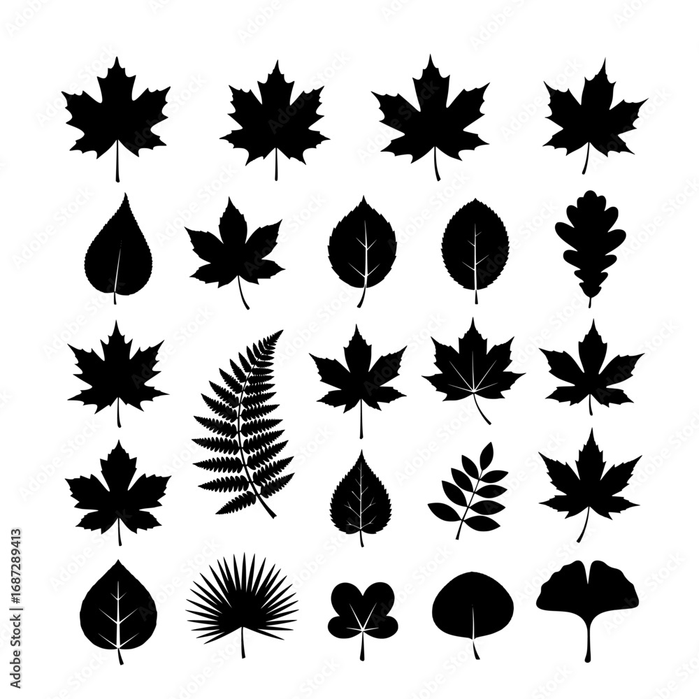 Obraz premium Leaf silhouettes collection set , black and white vector, isolated