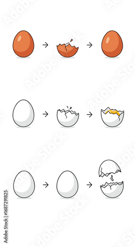 Stages of an egg showing cracking breaking and contents revealed step by step