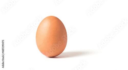Single brown chicken egg standing upright on a white surface with soft shadow