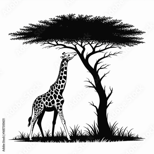 African Nature Silhouette