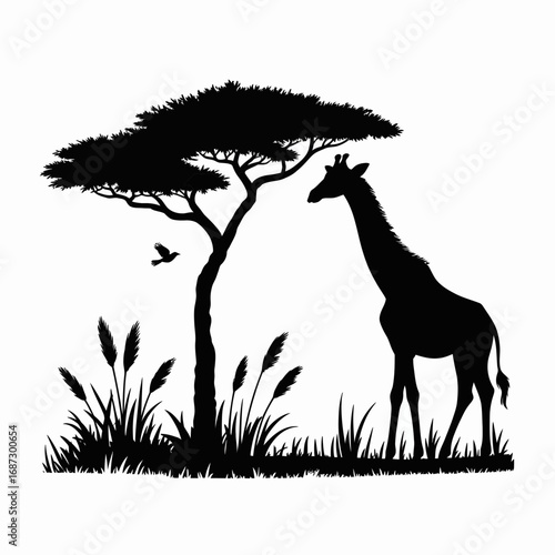 African Nature Silhouette