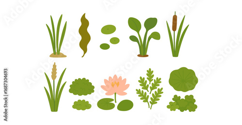 Aquatic plants flat icon set. nature and water garden flat icons collection