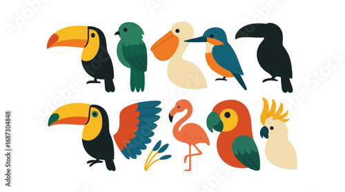 Bird silhouette icon set. toucan, parrot, flamingo silhouettes in a flat style