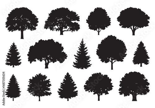 Diverse silhouettes of deciduous and coniferous trees representing nature and seasons white background