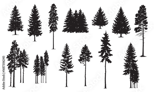 Collection of silhouette pine trees diverse shapes and sizes woodland forest nature elements white background
