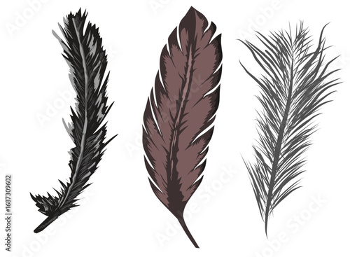 Elegant feather vector design element for decoration illustration boho style tribal ornament natural symbol fashion artwork abstract drawing tattoo