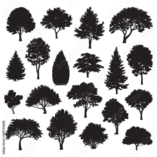 Diverse silhouettes of various tree species for landscape design and nature themed projects white background