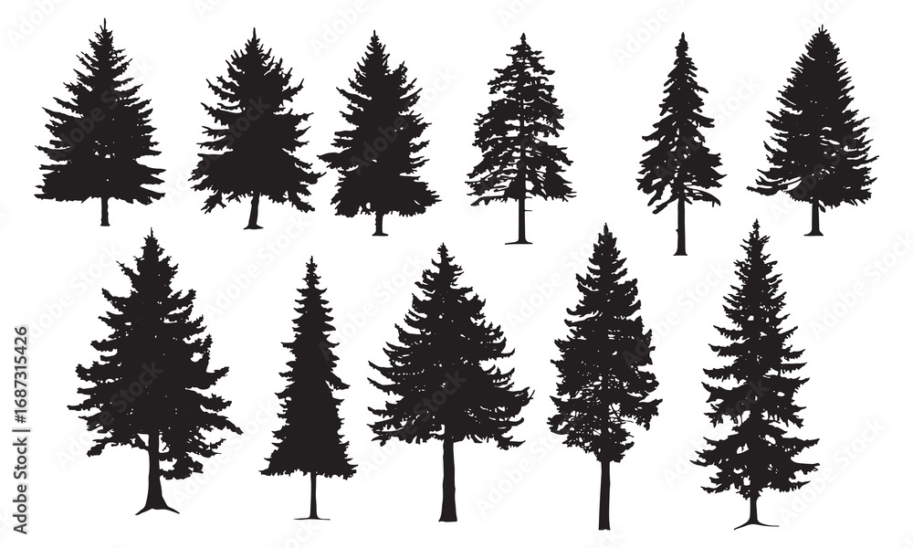 Obraz premium Collection of silhouette evergreen pine and fir trees for winter forest scenes white background