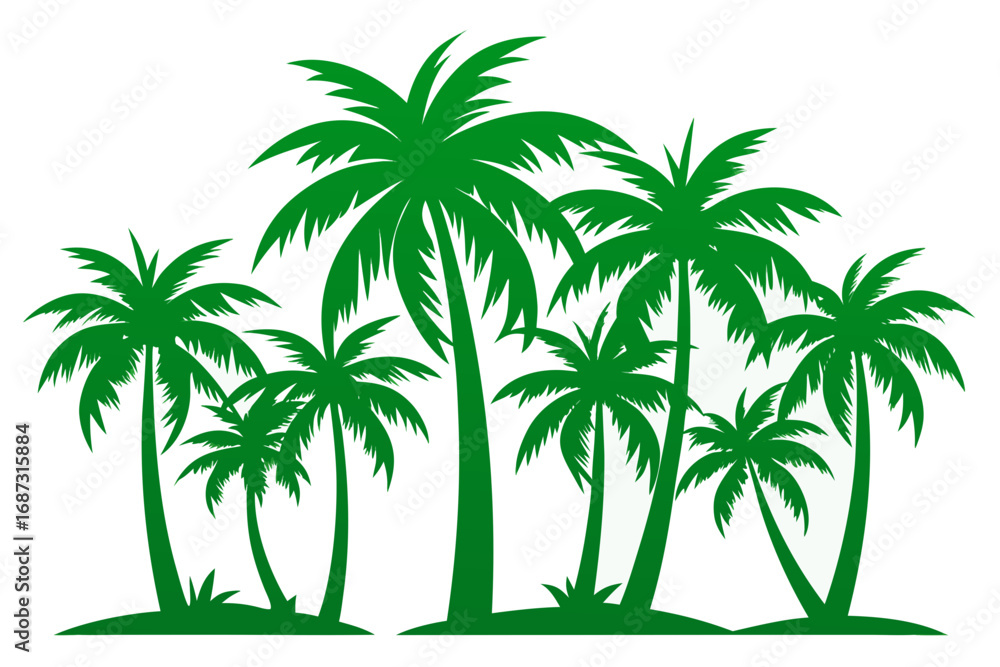 Obraz premium palm tree on white background