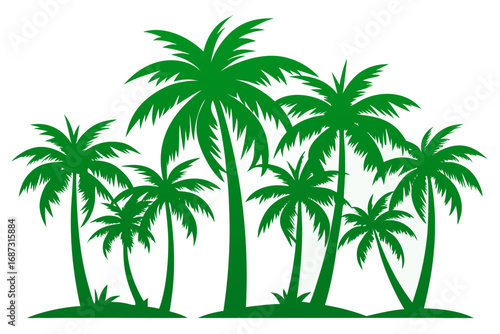 palm tree on white background