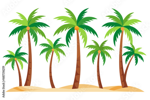 palm trees on the beach