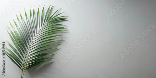 Serene Palm Frond Against a Simple Light Grey Background, Perfect for Relaxation and Wellness Themes