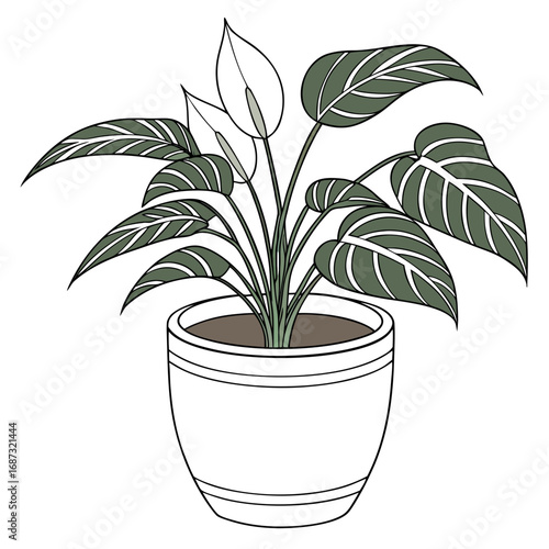 Stylized illustration of a green and white striped leaf plant with white flowers in a decorative white pot