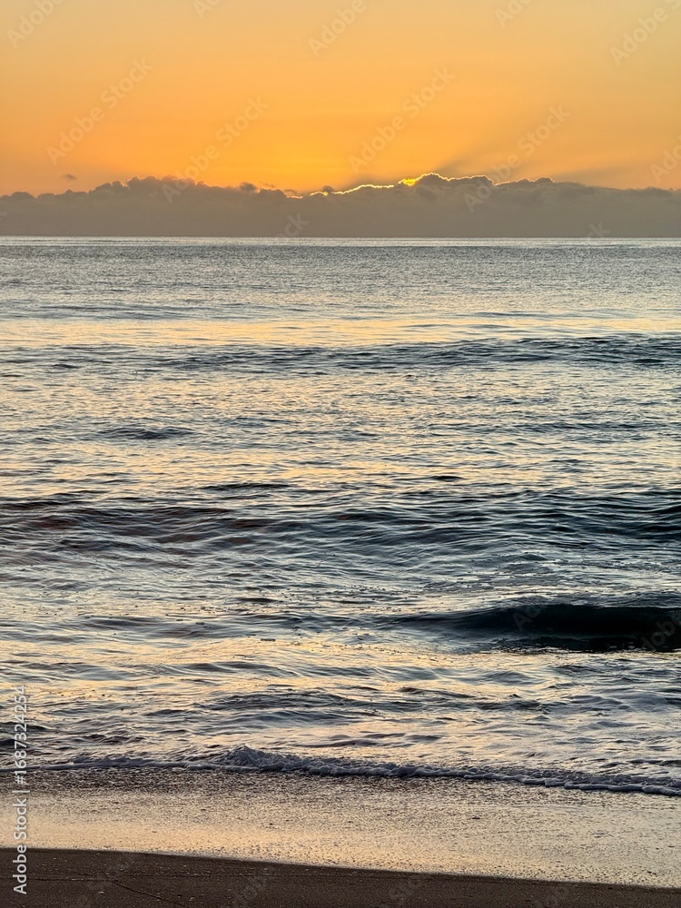 Obraz premium Beatiful sunset on beach of north island of new zealand