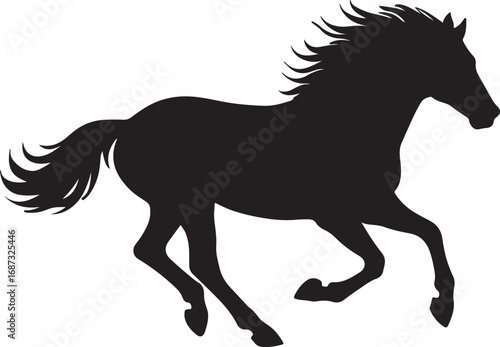 black horse vector illustration