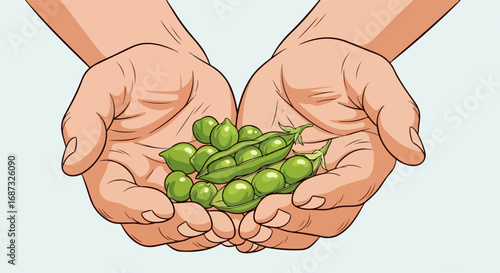 Fresh green peas in hands, showcasing harvest bounty.  Sweet garden peas, recently picked, are gently cupped in hands. This image of fresh green peas is perfect for food blogs, cookbook illustrations,