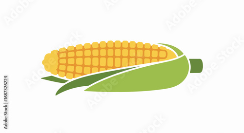 Ear of corn illustration on plain white background, showing open husk and yellow kernels. Ear of corn drawing depicts agriculture and harvest season.