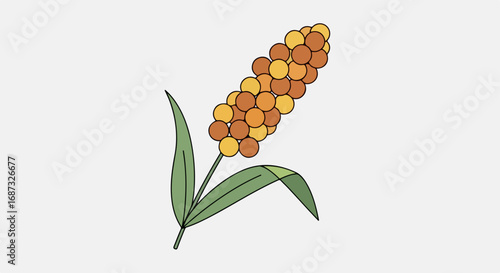 Simple illustration of millet plant with orange and yellow seeds. Detailed drawing of millet plant shows stem and leaves. Graphic millet image perfect for agriculture publications and websites.