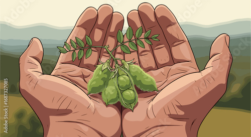 Holding fresh chickpeas with open hands showing produce, holding fresh chickpeas, offering green pods. Hand holding fresh chickpeas, symbolizing care and nurture, represents natural goodness.