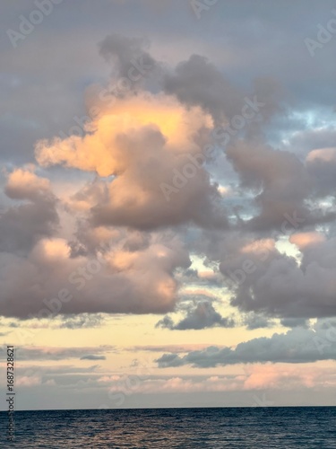 Views of city of Auckland 