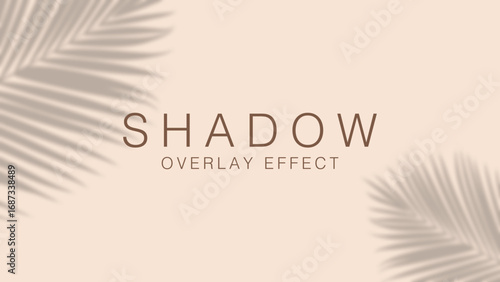 Shadow overlay effect. Transparent soft light and shadows from branches, plant, foliage and leaves. Mockup of transparent leaf shadow overlay effect and natural lightning. Vector background.