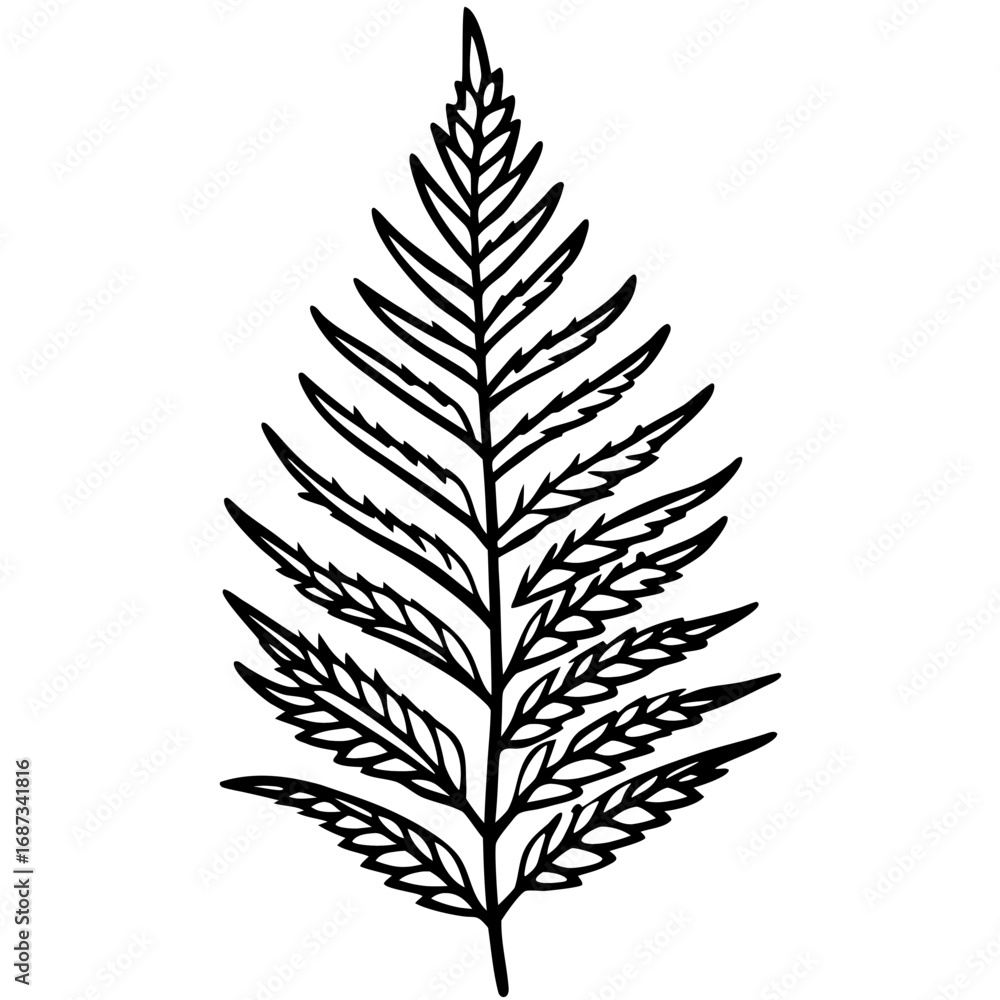 Naklejka premium Elegant Fern Outline Vector Design
