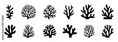 Collection of Black Silhouette Coral Icons on White Background