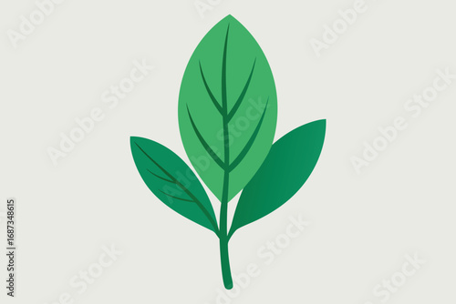 Vector art of green sprig with three leaves, showcasing a central leaf with prominent veins and two smaller leaves, in a flat design style