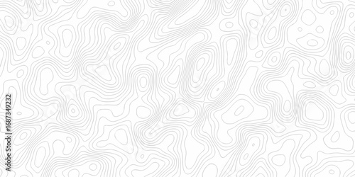 Abstract minimal The pattern discovery vector topo map creative discovery White wave grid stripe line map topography. vector geographic contour mounted map background.	