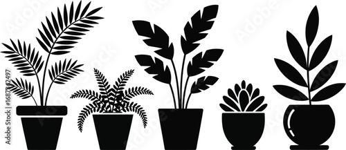 Elegant collection of potted house plants for modern home decor and minimalist design projects, stylish monochrome