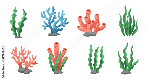 Collection of vibrant seaweed and coral designs for ocean themes