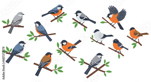 Colorful birds perched on branches with leaves in a flat style
