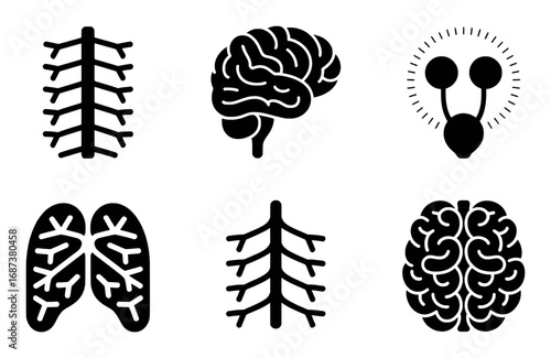 Set of Medical and Scientific Icons: Brain, Lungs, and Nervous System