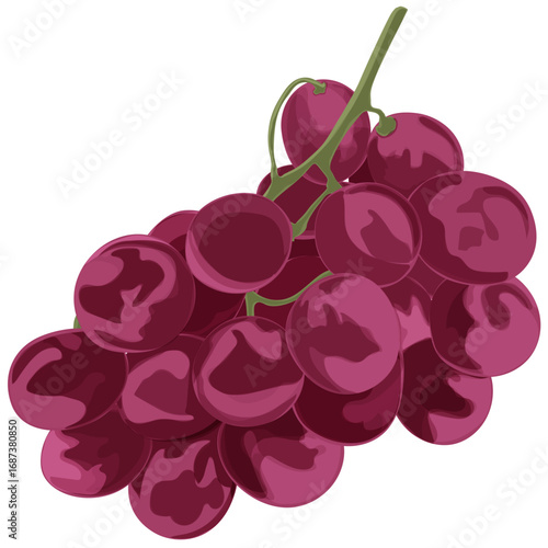Vector illustration of red grapes fruit cluster, perfect for vineyard and wine concepts.