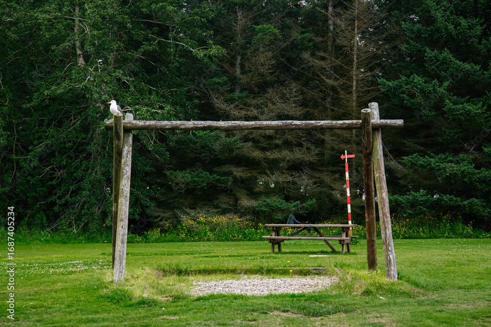 Quiet picnic area in Iceland featuring unique rustic designs and nature Quiet picnic area in Iceland featuring unique rustic designs and nature