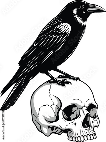 Raven perched atop human skull symbolising mortality darkness and gothic aesthetics detailed black and white vector illustration of bird on cranium concept