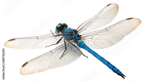 Wallpaper Mural Blue dragonfly cut out isolated on white background PNG. AI GENERATED.  
 Torontodigital.ca