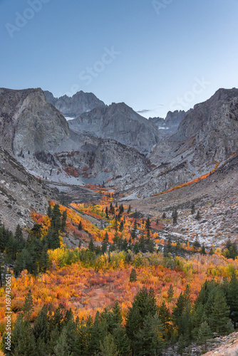 Obraz na plátně autumn colors in the sierra nevada mountains, on the way to the Big Pine lakes
