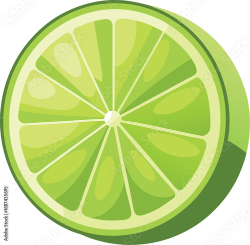 Vector vector art of round slice of lime with segments, transparent background
