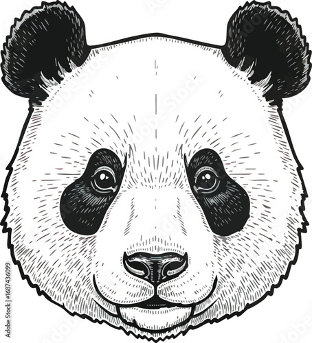 Detailed monochrome illustration of a giant panda's head, facing forward with its characteristic black and white markings.