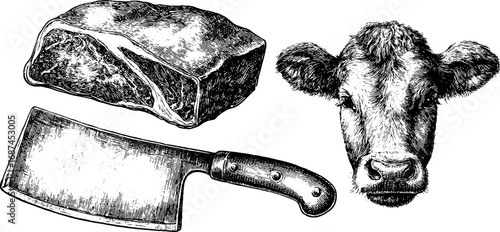Vintage beef cattle engraving set for butcher themes and culinary design