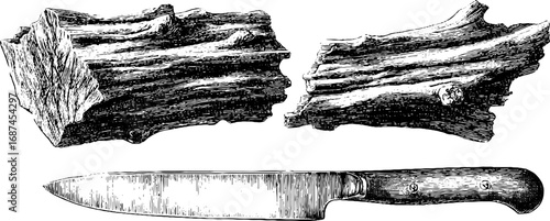 Driftwood carving and engraving set with knife for creative designs